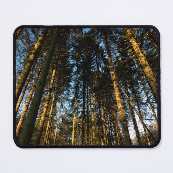 Item preview, fetteresso forest designed and sold by codaimages.