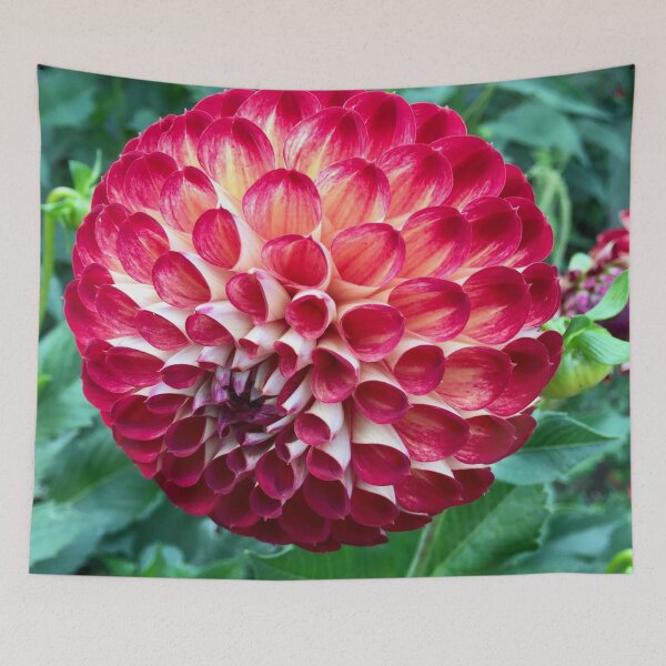 Item preview, Dalia Delight  “The Bold Flower” Uk. designed and sold by Angela Haig-Harrison.