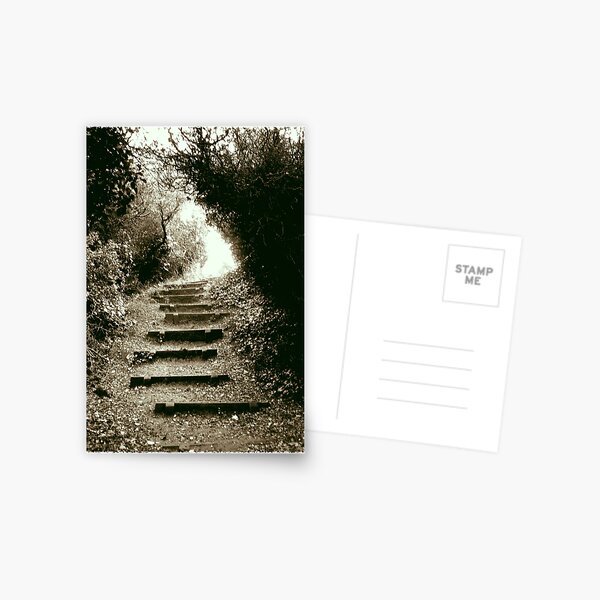 Steps Postcard