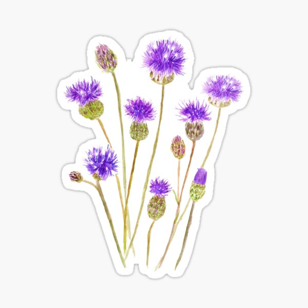 Item preview, hand painted purple thorny wildflower  designed and sold by ColorandColor.