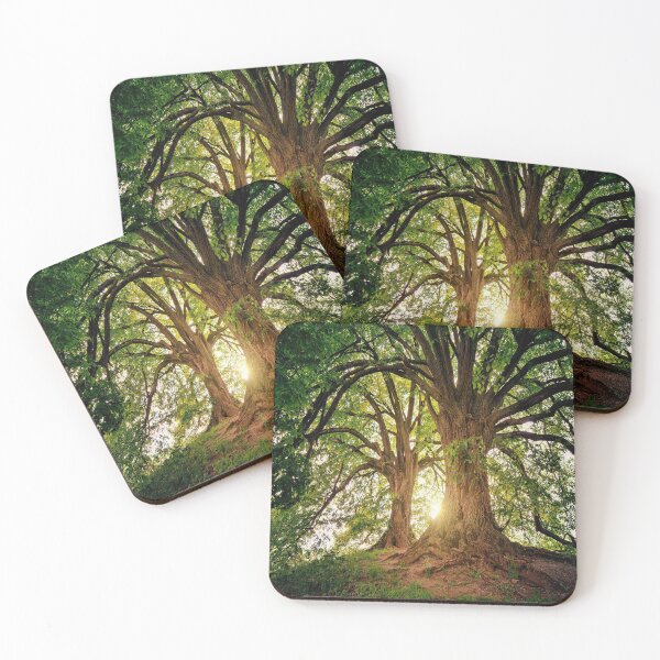 Item preview, wildness trees designed and sold by Zone-Graphics.