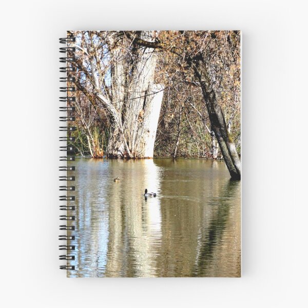 Item preview, Flooding In The Park designed and sold by Diane Arndt.