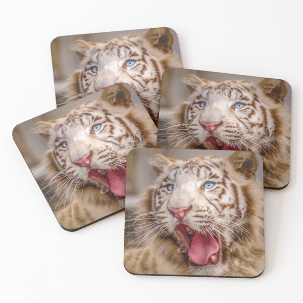 Item preview, white tiger yawns designed and sold by OskiOnTour.