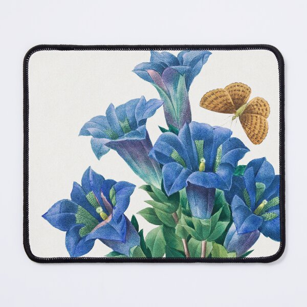 Item preview, Gentiana Acaulis (1759–1840)Vintage Hand Drawn Flower Sketch (Botanical drawing) designed and sold by UsedToBeStatue.