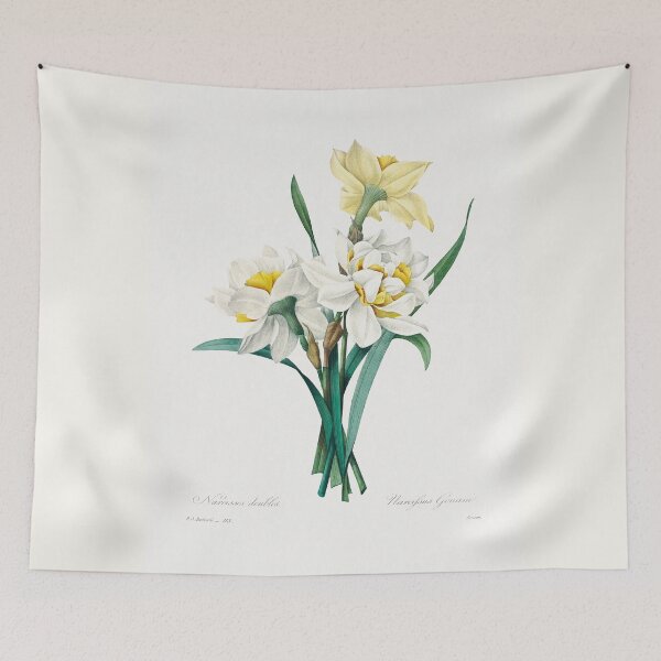 Item preview, Double Daffodil (1759–1840) Vintage Hand Drawn Flower Sketch (Botanical drawing) designed and sold by UsedToBeStatue.