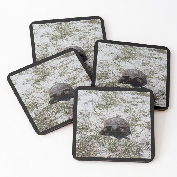 Item preview, Baby Gopher Tortoise, native Florida Species, Endangered Species,  Beach, Outdoors, Wildlife, Tortise designed and sold by Artistability.