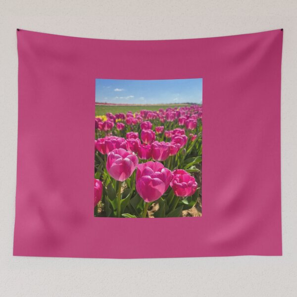 Item preview, Bright Pink Tulips in Sunshine designed and sold by ExploreOutdoors.