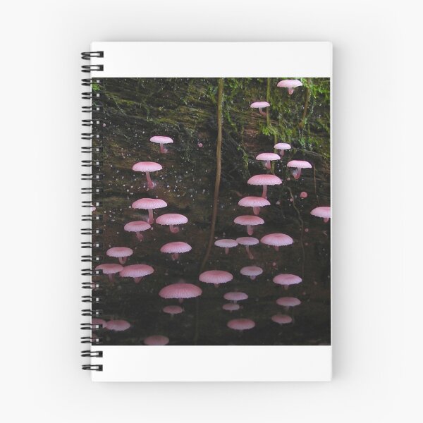 Aperçu de l'œuvre Champignons créée et vendue par MovingMountains.