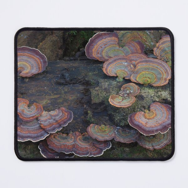 Item preview, mushies designed and sold by MovingMountains.