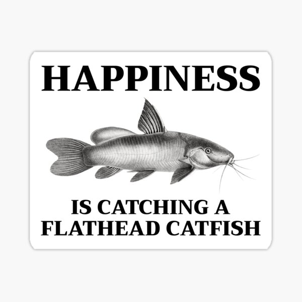 &ldquo;Catfishing Catfish Lover Fishing Fisherman Fish&rdquo; Sticker by