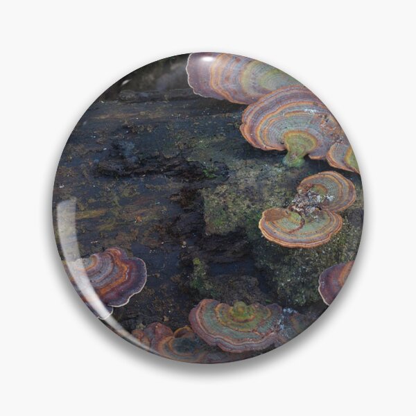 Item preview, mushies designed and sold by MovingMountains.