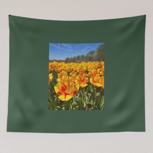 Item preview, Yellow and Red Two Tones Tulips designed and sold by ExploreOutdoors.