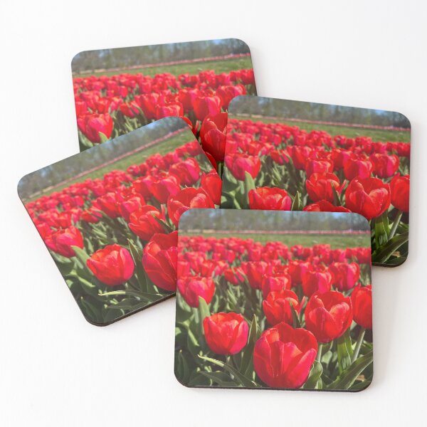 Item preview, Bright Red Tulips, NJ Tulip Field, Holland Ridge Farm designed and sold by ExploreOutdoors.
