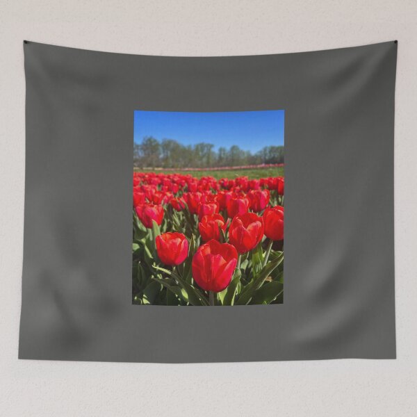Item preview, Bright Red Tulips, NJ Tulip Field, Holland Ridge Farm designed and sold by ExploreOutdoors.