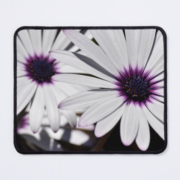 Item preview, Top Down Daisies designed and sold by tchnclrdydrm.