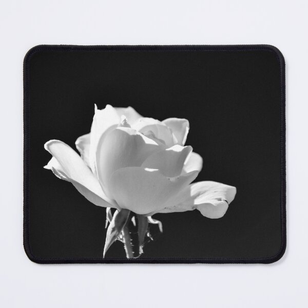 Item preview, Black and White Rose designed and sold by tchnclrdydrm.