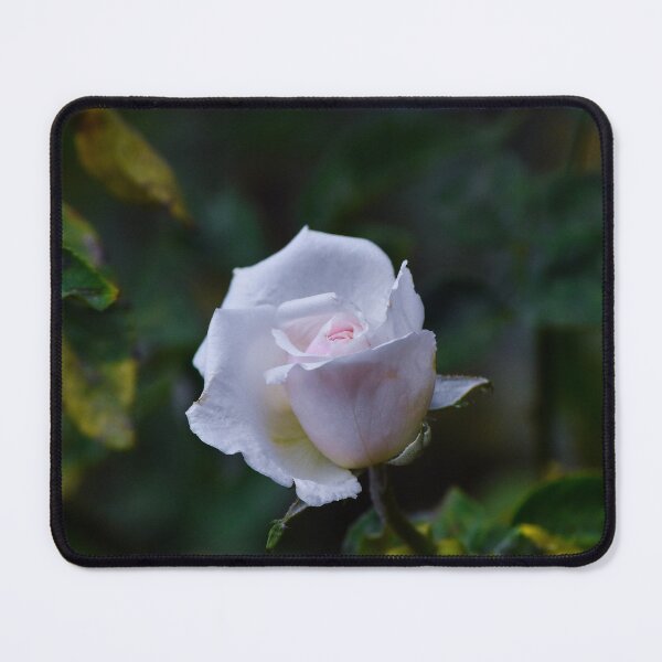 Item preview, Purity designed and sold by tchnclrdydrm.