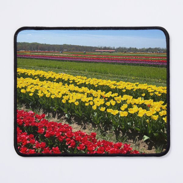 Item preview, Red and Yellow Tulip Field Rows, Blue Sky designed and sold by ExploreOutdoors.