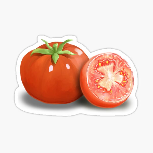 “Realistic Tomato” Sticker by linapermatart | Redbubble