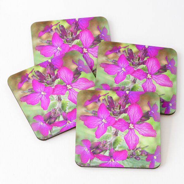 Item preview, Lunaria annua designed and sold by angel1.