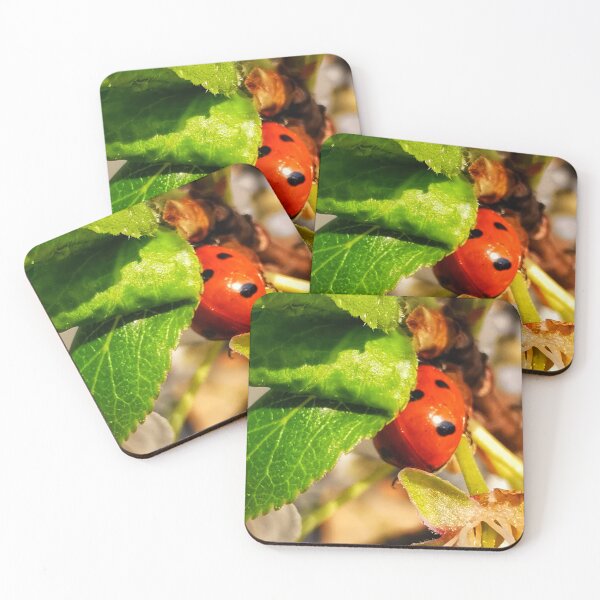 Item preview, Ladybird designed and sold by carlisleprints.