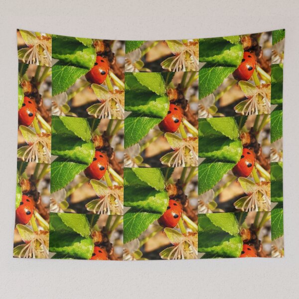 Item preview, Ladybird designed and sold by carlisleprints.