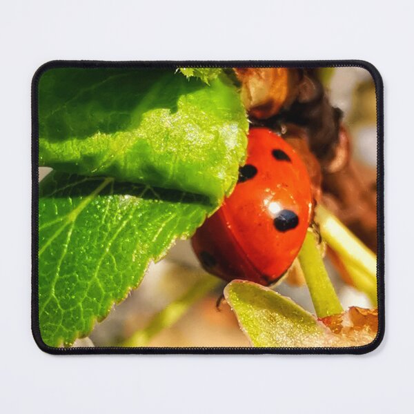 Item preview, Ladybird designed and sold by carlisleprints.
