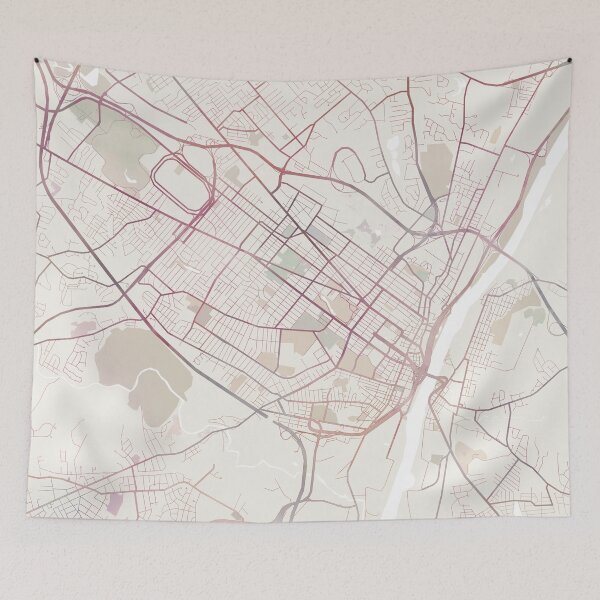 Item preview, Albany Map, USA City, Albany New York designed and sold by TheRedFinch.