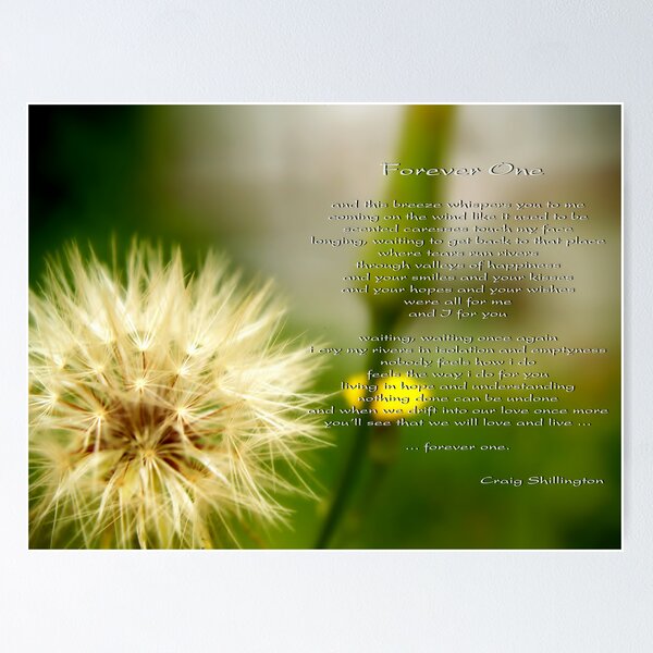 Item preview, Forever One designed and sold by Craig Shillington.