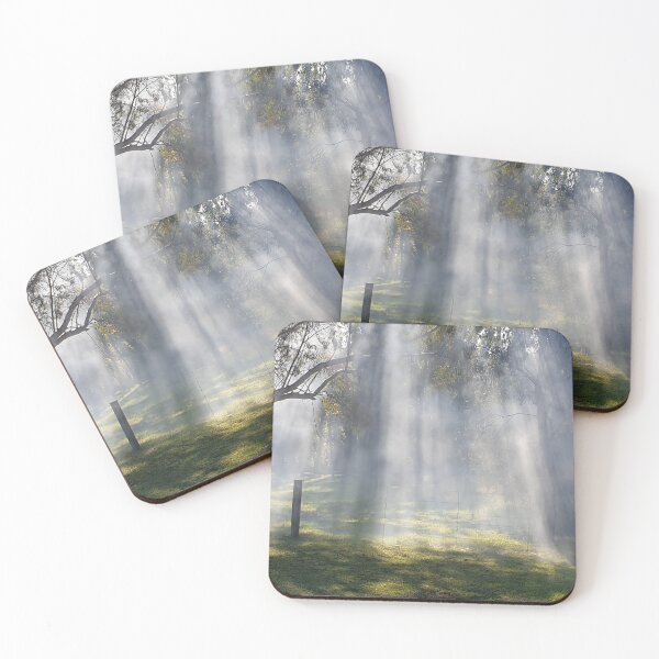 Item preview, Sunlight through the gum trees. designed and sold by WhoRayShirts.