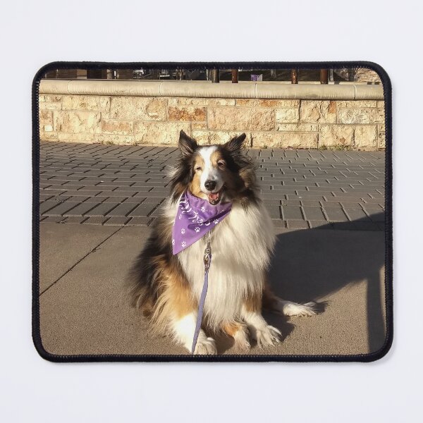 Item preview, Dog at frog fountain  designed and sold by MeganK22.