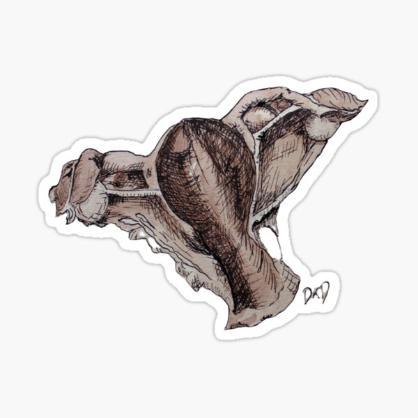Renai'she'ance uterus Sticker