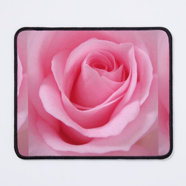 Item preview, Beautiful Blush Pink Rose designed and sold by newburyboutique.
