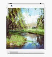 Willow iPad Case/Skin