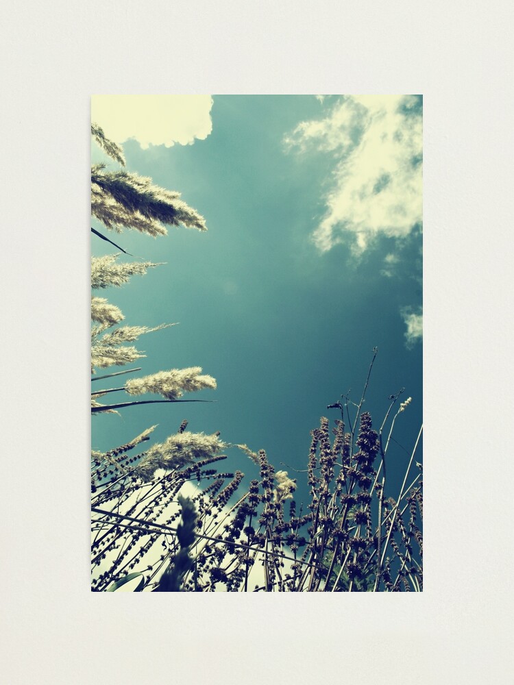 Alternate view of Sky Photographic Print