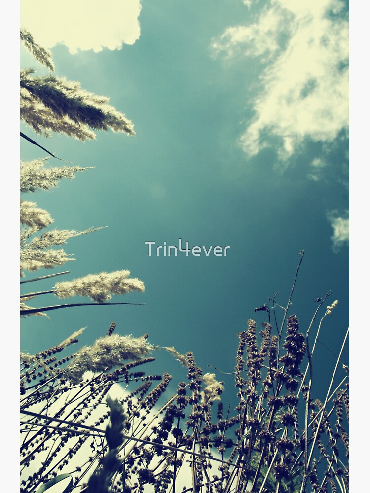 Sky by Trin4ever