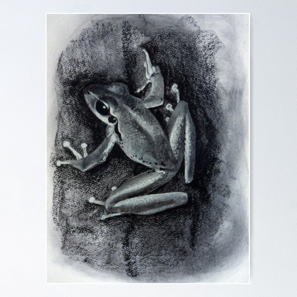 Tree Frog - Drawing by Avril Thomas South Australian Artist Poster