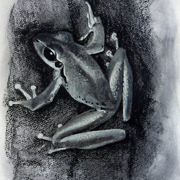 Artwork thumbnail, Tree Frog - Drawing by Avril Thomas South Australian Artist by AvrilThomasart