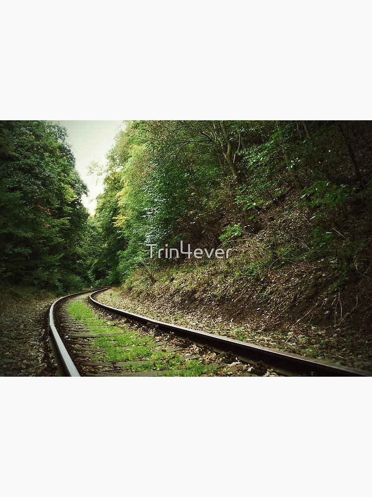 Railway in the forest by Trin4ever
