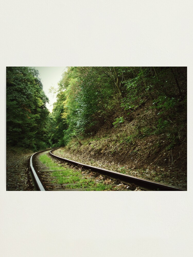 Alternate view of Railway in the forest Photographic Print