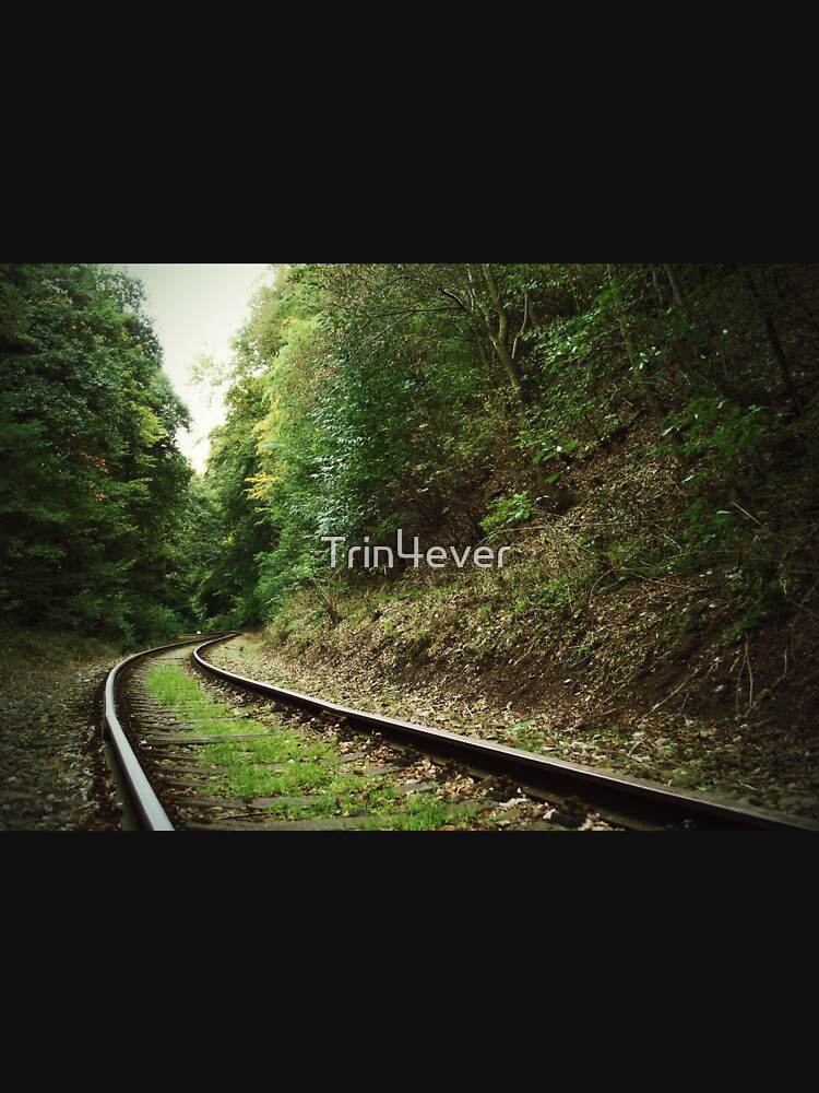 Railway in the forest by Trin4ever