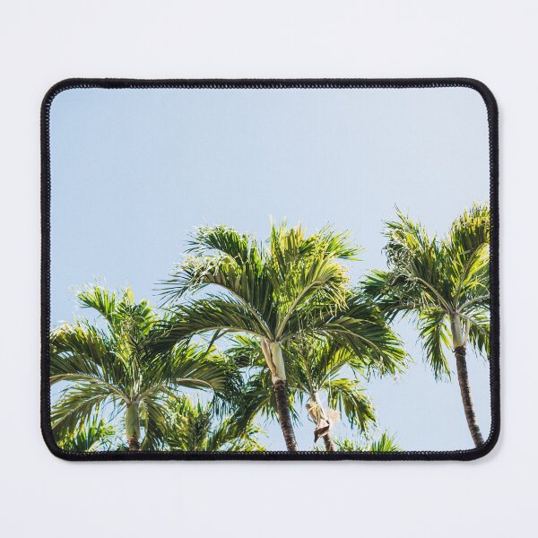 Item preview, Miami Palm Trees designed and sold by newburyboutique.