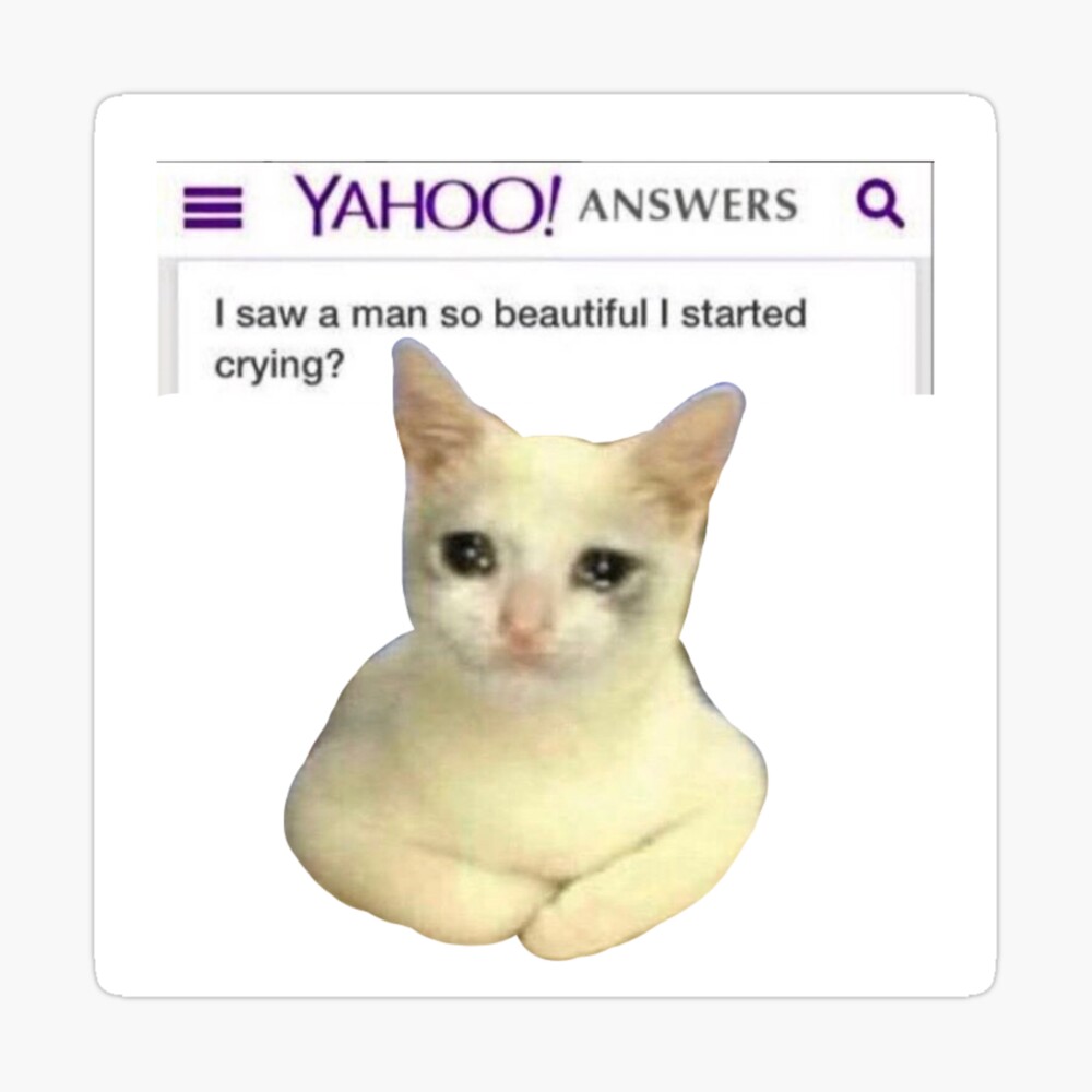 Yahoo Answers Cat Meme Crying Dank
