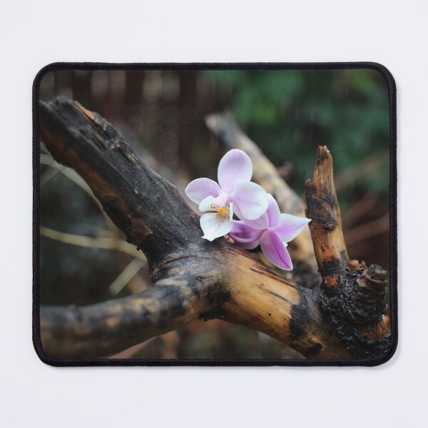 Item preview, Orchid Log designed and sold by Odd Things.