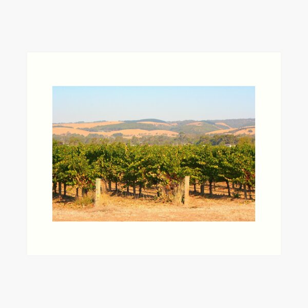 Item preview, Vines, McLaren Vale vineyard, Australia designed and sold by FranWest.