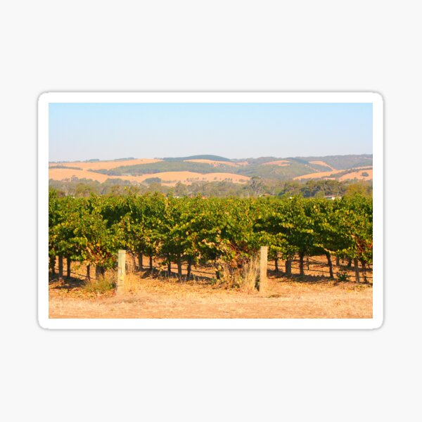 Item preview, Vines, McLaren Vale vineyard, Australia designed and sold by FranWest.