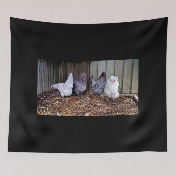 Item preview, Four Fluffy Chickens  designed and sold by VictoriaAugust.
