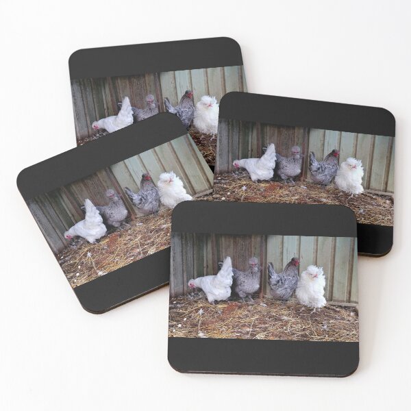Item preview, Four Fluffy Chickens  designed and sold by VictoriaAugust.