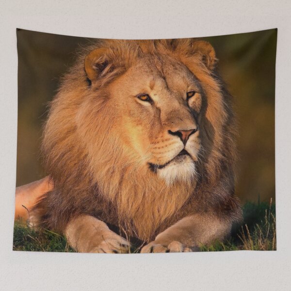 Item preview,   panoramic,panoramic wall art, panoramic canvas Tapestries,Tapestry,throw blankets,comforters,tiger,animal, animals,tiger wall art,tiger artwork,tigers,wild,tiger art,tiger painting, designed and sold by eyesight4vision.