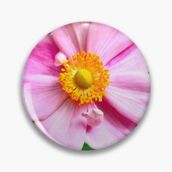 Item preview, Pink in Bloom designed and sold by SDC Original Designs.